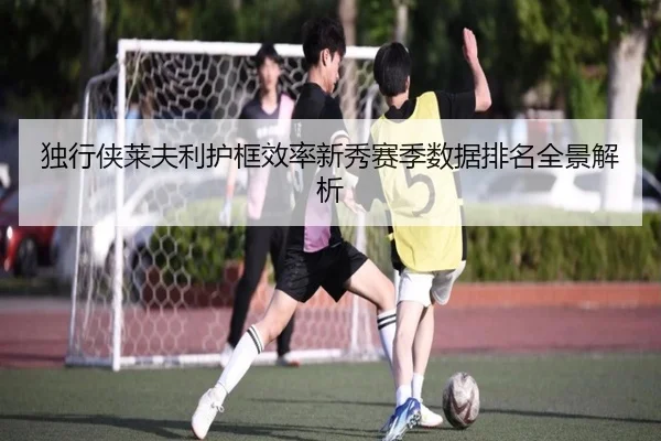 独行侠莱夫利护框效率新秀赛季数据排名全景解析